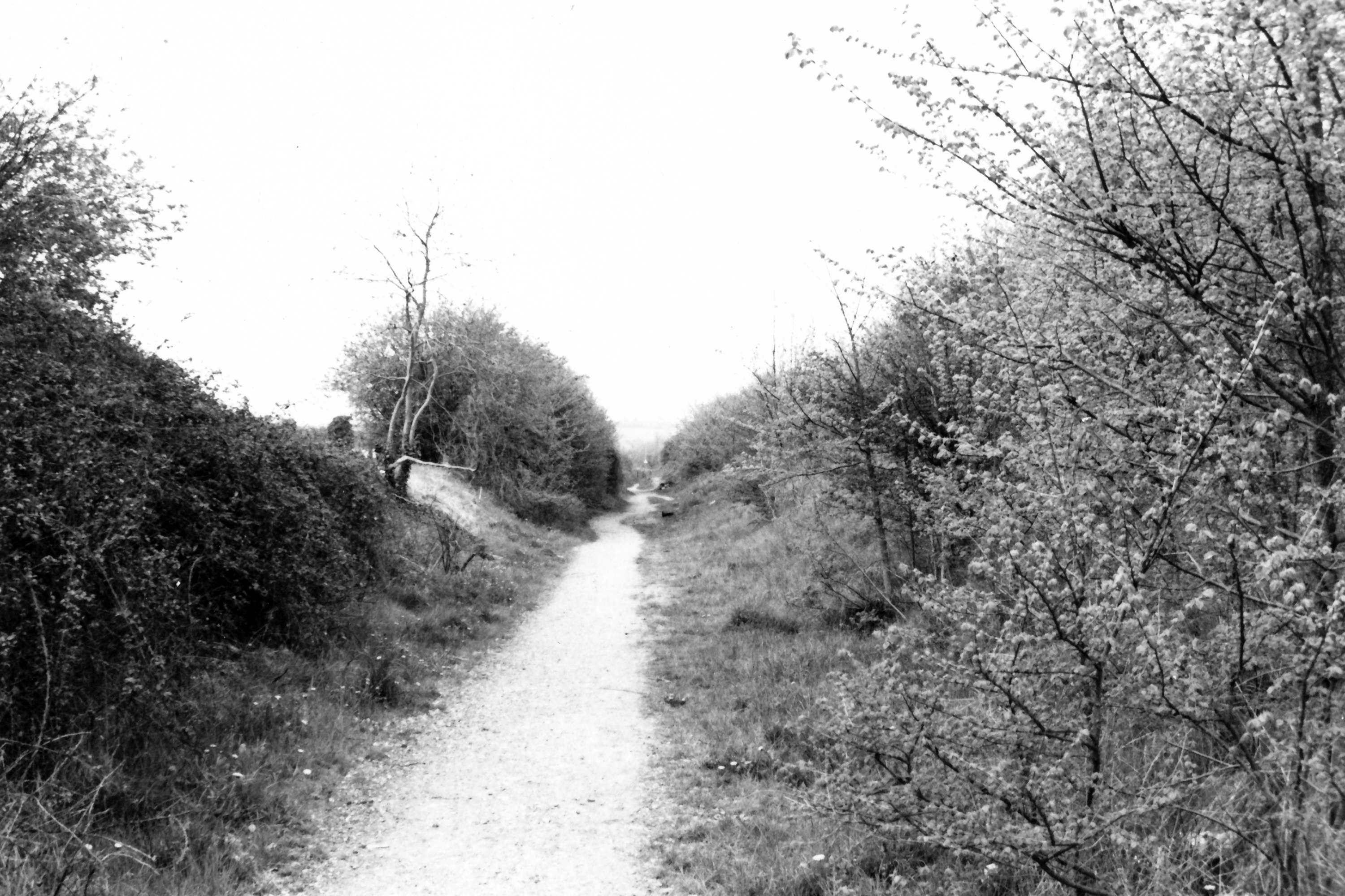  trackbed of the former Bourne End to High Wycombe line